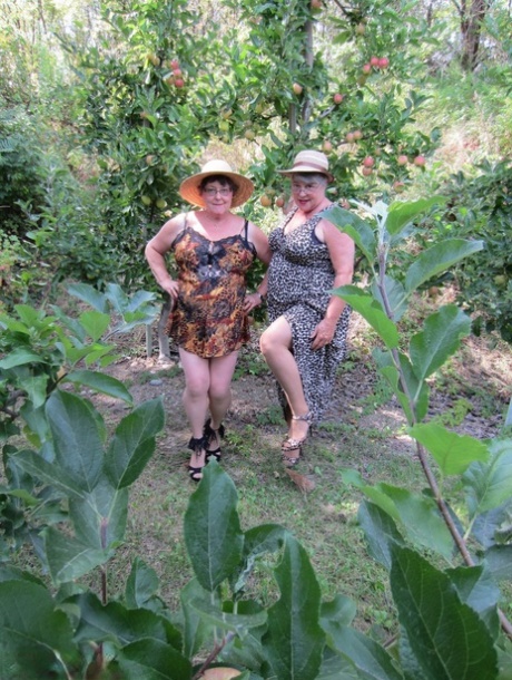 alte schwarze Frauen-Muschi-Löcher beste erwachsene fotos